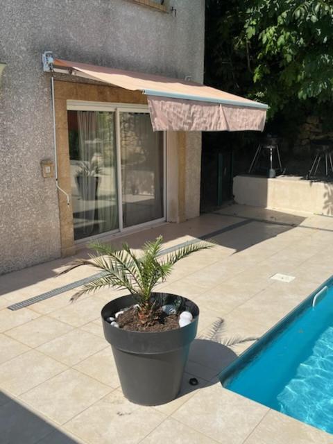 L'Appartement Du Micocoulier 살롱드프로방스 외부 사진